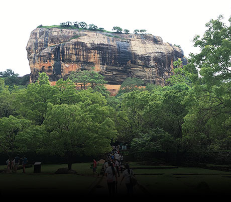 Sigiriya Rock Day tour