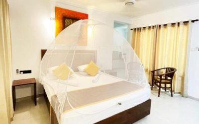 Why You Need to Stay in Dambulla When Visiting Sri Lanka’s Cultural Triangle